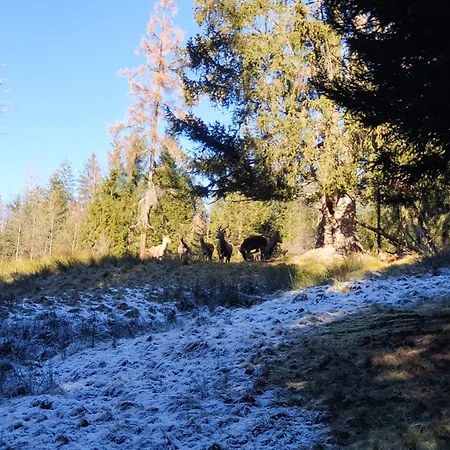 Gemuetliche Mit Kachelofen In Tiroler Bergwelt * Niederau
